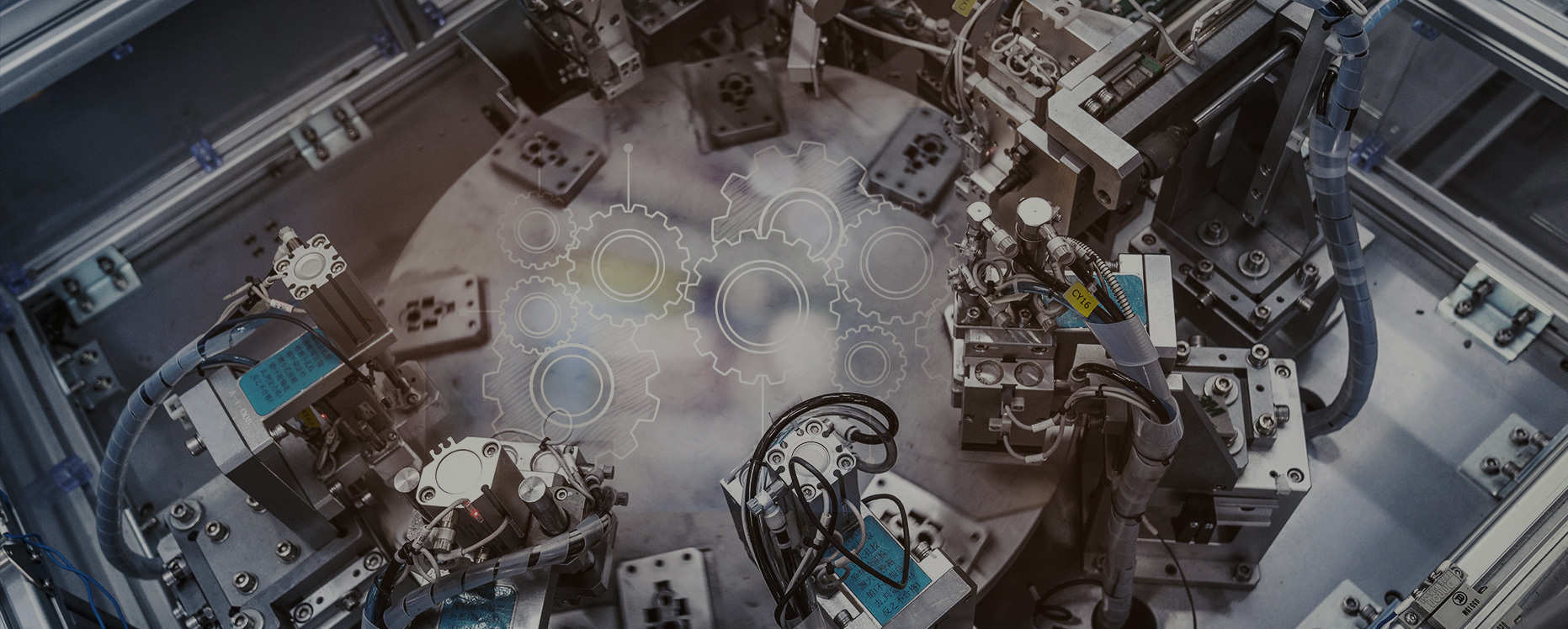 zoty��ŷ��(�й����޹�˾)�ٷ���վ