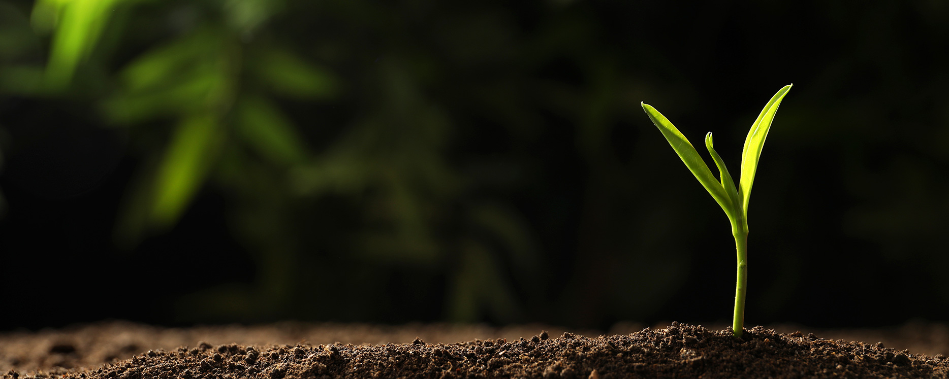 zoty��ŷ��(�й����޹�˾)�ٷ���վ