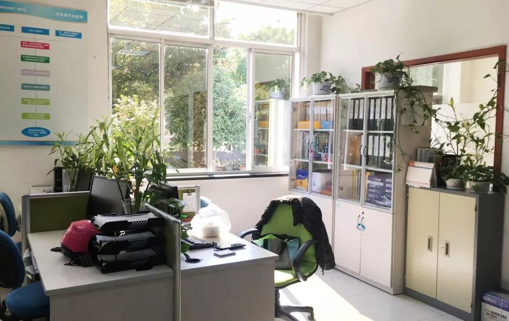 zoty��ŷ��(�й����޹�˾)�ٷ���վ