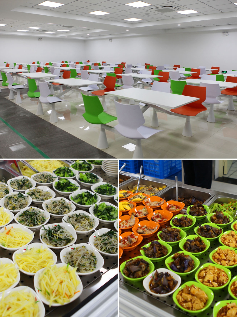 zoty��ŷ��(�й����޹�˾)�ٷ���վ